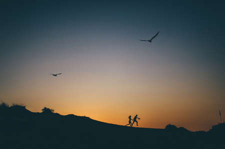 Small silhouette of happy couple holding hands and running up the hill at sunset with two seagulls flying in the skyの写真素材