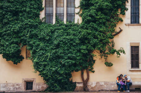 KRAKOW, POLAND - JUNE 27, 2015: People view map sitting against the wall of Wawel Castle. The wall of the courtyard of Wawel Castle, where the plant growsのeditorial素材