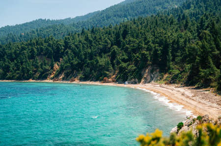 Hidden wild beach with sand against the green forest of the pine trees in Vourvourou, Sithonia, Greece. View from aboveの写真素材