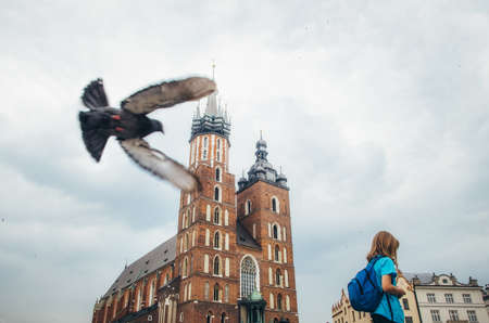 The dove flies close up over the girl against the landmark of Krakow. The Saint Mary Church. Travel...