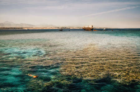 Woman snorkeling beside of shipwreck at Gordon Reef in the Tiran straits, in the Red Sea, near Sharm el Sheikh. Red Sea, Sinai Peninsula, Egyptの写真素材