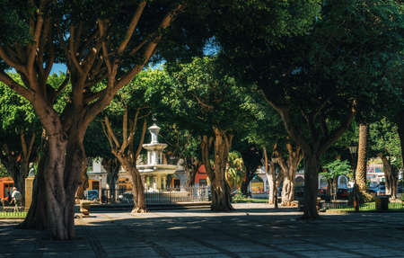 La Laguna, Tenerife, Canary islands, Spain - May 23, 2017: Adelantado Square in lush greenery and powerful trees with fountain in San Cristobal de La Laguna town in Tenerife, Canary islands, Spainのeditorial素材