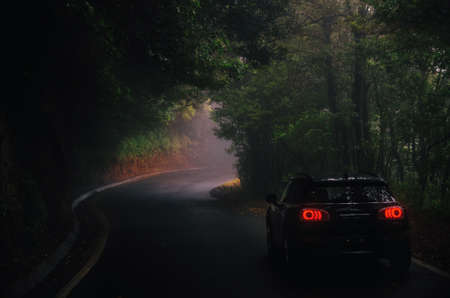 Road Trip by car across magic misty forest of Anaga Rural Park, Tenerife, Canary Islands, Spain