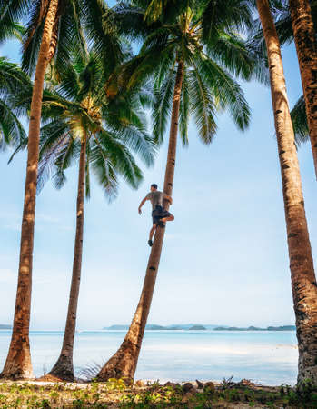 Man sits on palm tree and looks into distance. Adventure on tropical vacation.の写真素材
