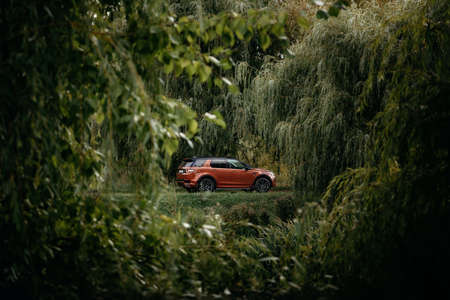 Minsk, Belarus - September 24, 2019: Land Rover Discovery Sport in autumn dense forest forest...