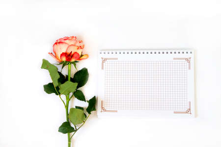 Daily note-book of love and pink rose on a white paper background. for valentine's day