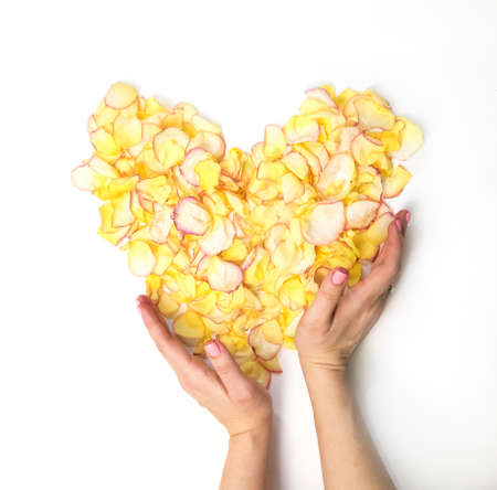 woman's hands with yellow heart from petal roseの写真素材