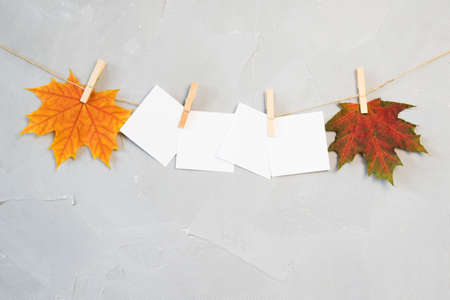 Autumn time decoration, card and dry maple leaves pinned on rope with clothespin, isolated on whiteの写真素材