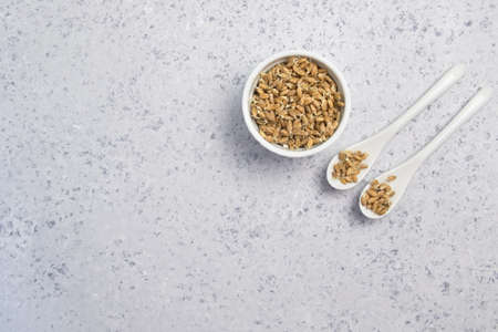 Sprouted wheat on a light background. tonedの写真素材