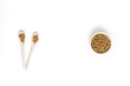 Sprouted wheat on a light background. toned