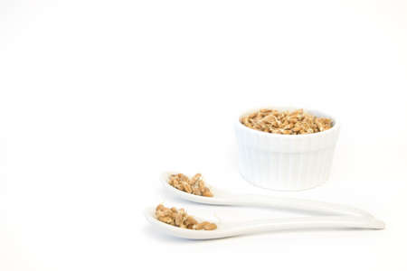 Sprouted wheat on a light background. toned