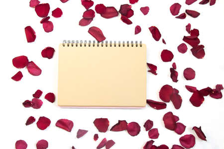 Rose flower and petals on empty page notebook isolated on white. Top view. Copy space for text. Feminine concept. Mock up top viewの写真素材