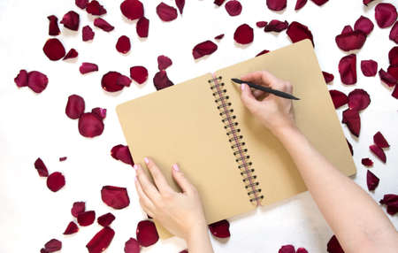 Rose flower and petals on empty page notebook isolated on white. Top view. Copy space for text. Feminine concept. Mock up top viewの写真素材