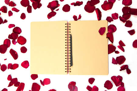 Rose flower and petals on empty page notebook isolated on white. Top view. Copy space for text. Feminine concept. Mock up top viewの写真素材