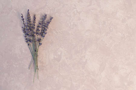 Coffee and lavender flower on pink table from above. Woman working desk. Cozy breakfast. Mockup. Flat lay styleの写真素材