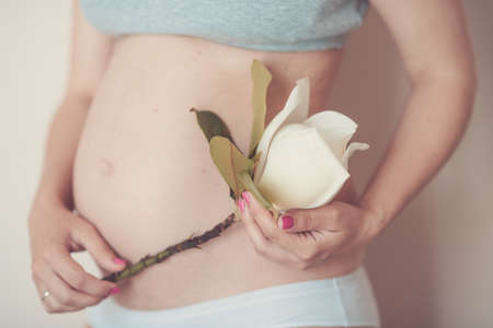 Close up of pregnant woman in the hands holding the spring with magnolia flowers.の写真素材