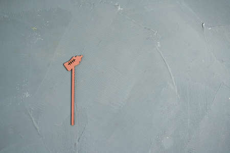 topper for cake baby shower party - boy or girl.