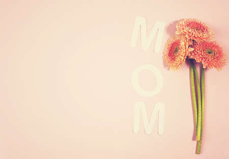 MOM Text with hearts on coloful backround.の写真素材