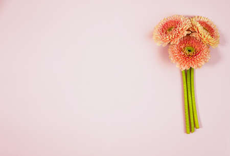 Beautiful spring pink flowers on blue pastel table top view. Floral border. Flat lay styleの写真素材