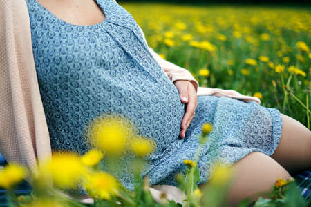 Pregnant Woman Belly. Pregnancy Concept. Over green nature blurred Background. Pregnant tummy close...