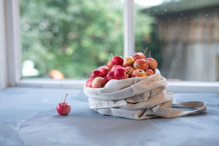 Apples in Cotton Bag, Zero Waste Concept, Eco Friendly Shopping Bag