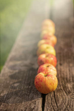 apples in a row on a wooden boardの写真素材