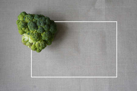 Trendy ugly organic broccoli with spots on grey background with white frame.