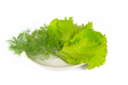 The some fresh greens from early summer cropの写真素材