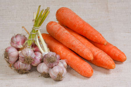 The fresh carrots and garlic from kitchen gardenの写真素材