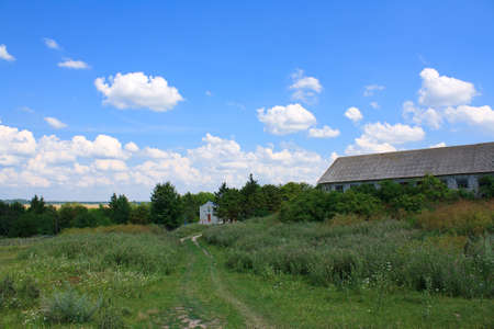 Summer landscape with green meadow and blue skyの写真素材