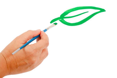 Hand draws a green leaf on white backgroundの写真素材