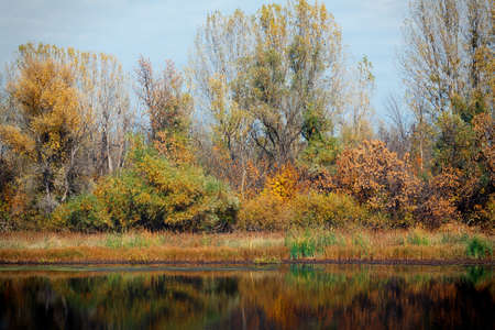 Calm autumn landscape with reflection in the waterの写真素材