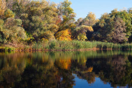 Calm autumn landscape with reflection in the waterの写真素材