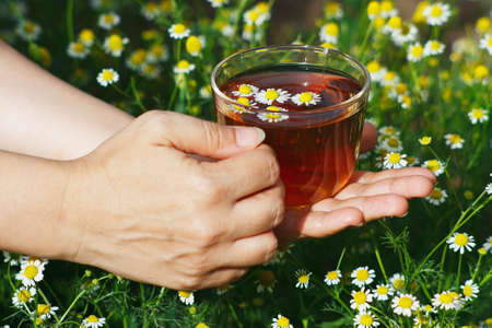 Hand with cup of herbal tea and chamomile still lifeの写真素材