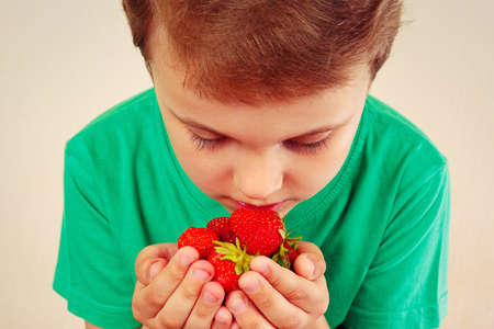 Little boy sniffing the aroma of sweet red strawberries, gently tonedの写真素材