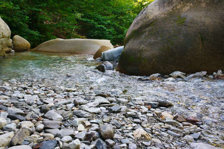 Amazing mountain creek among the southern forestsの写真素材
