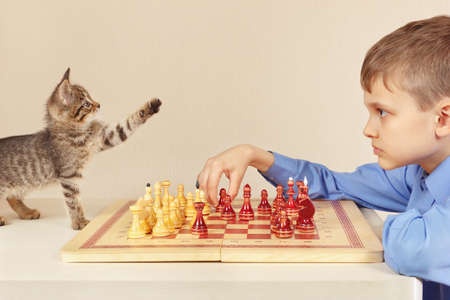 Young grandmaster with a kitten plays chess.の写真素材