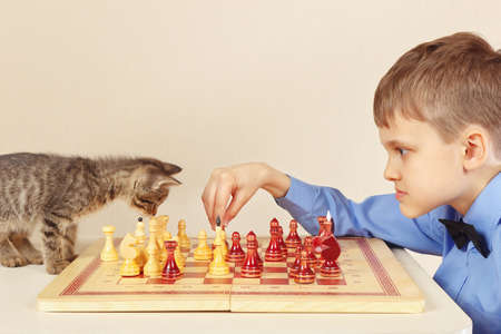 Beginner grandmaster with a playful kitten plays chess.の写真素材