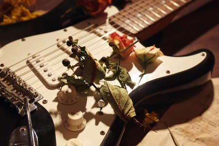 Electric guitar, dried flowers and old sheet music close up.の写真素材