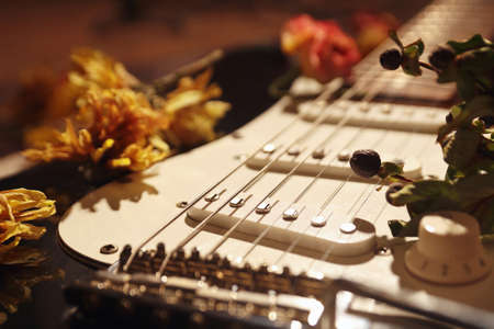 Romantic still life with a dried flowers on electric guitar close up. Selective focus.の写真素材