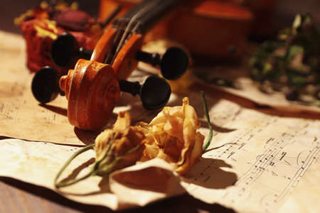 Violin, dried flowers and vintage sheet music close up. Selective focus.の写真素材