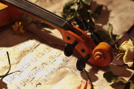Vintage violin, dried flowers and rare music notes close up.の写真素材