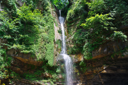 High wonderful waterfall falling from a cliff in a beautiful southern forest.の写真素材