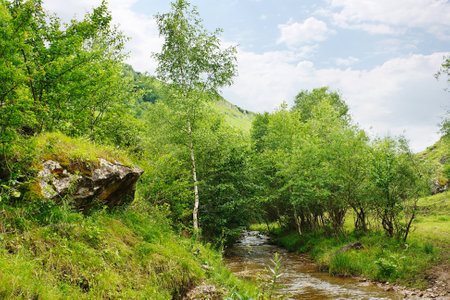 Quiet stream in mountain gorge in foothills of the North Caucasus.