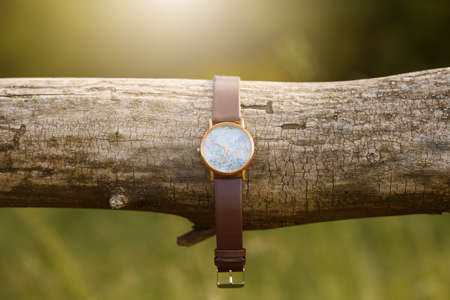 watch on the tree adventure and tourism summerの写真素材