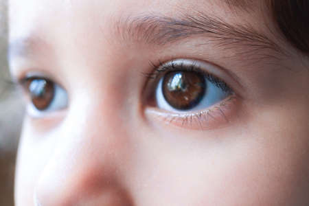 Close-up of serious kids brown eyes. Portrait of caucasian child girl. Girl dont looks at camera. Soft selective focusの写真素材