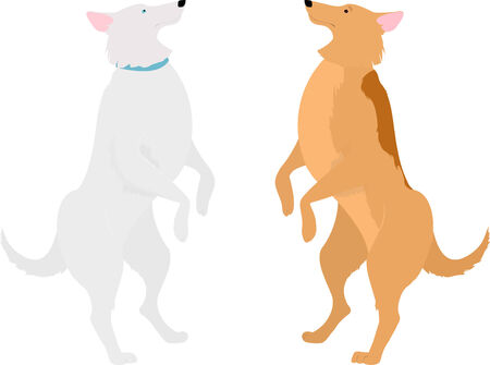 two dogs, orange and white, standing on hind legsのイラスト素材