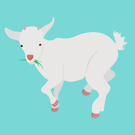 cartoon goat kid  with grass and small hornsのイラスト素材