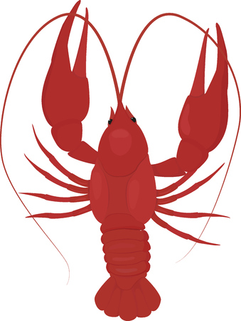 boiled red crayfish, crawfish isolated on whiteのイラスト素材