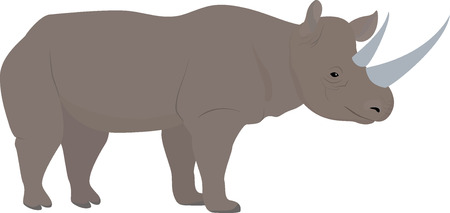 cartoon african animal rhino with big horns, vectorのイラスト素材